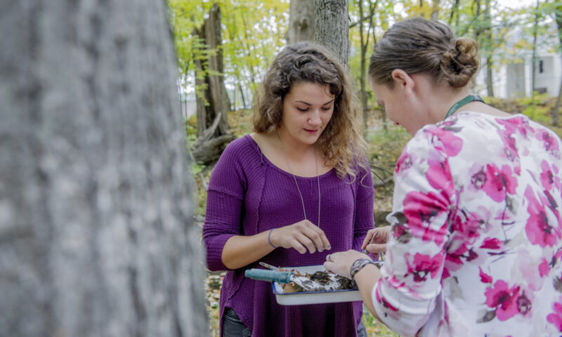 Students in an outdoor class