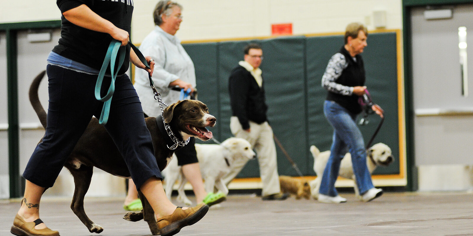 Dog Training Course offered by C-GCC's Office of Community Engagement and Professional Development