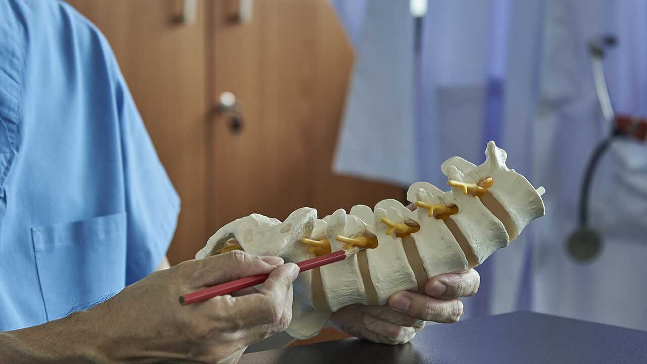 Hands pointing at a spot on a model of the spine